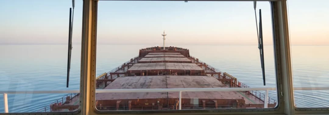 Bulk carrier underway with petroleum coke cargo, open water.